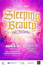 sleeping beauty poster design