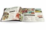 Alpine Ministries View Book design and layout
