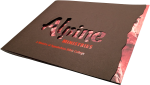 view of print and die cut for brochure cover