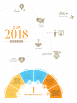 infographic illustration for year in review
