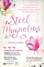 Poster design for Steel Magnolias